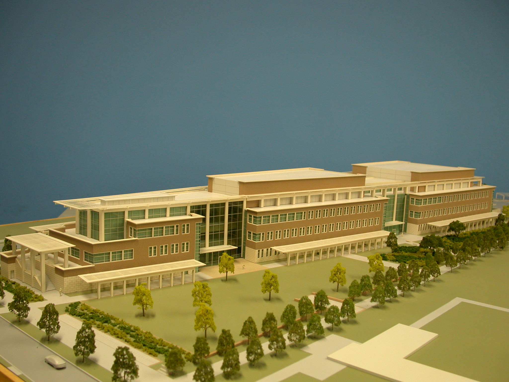 Texas A&M University